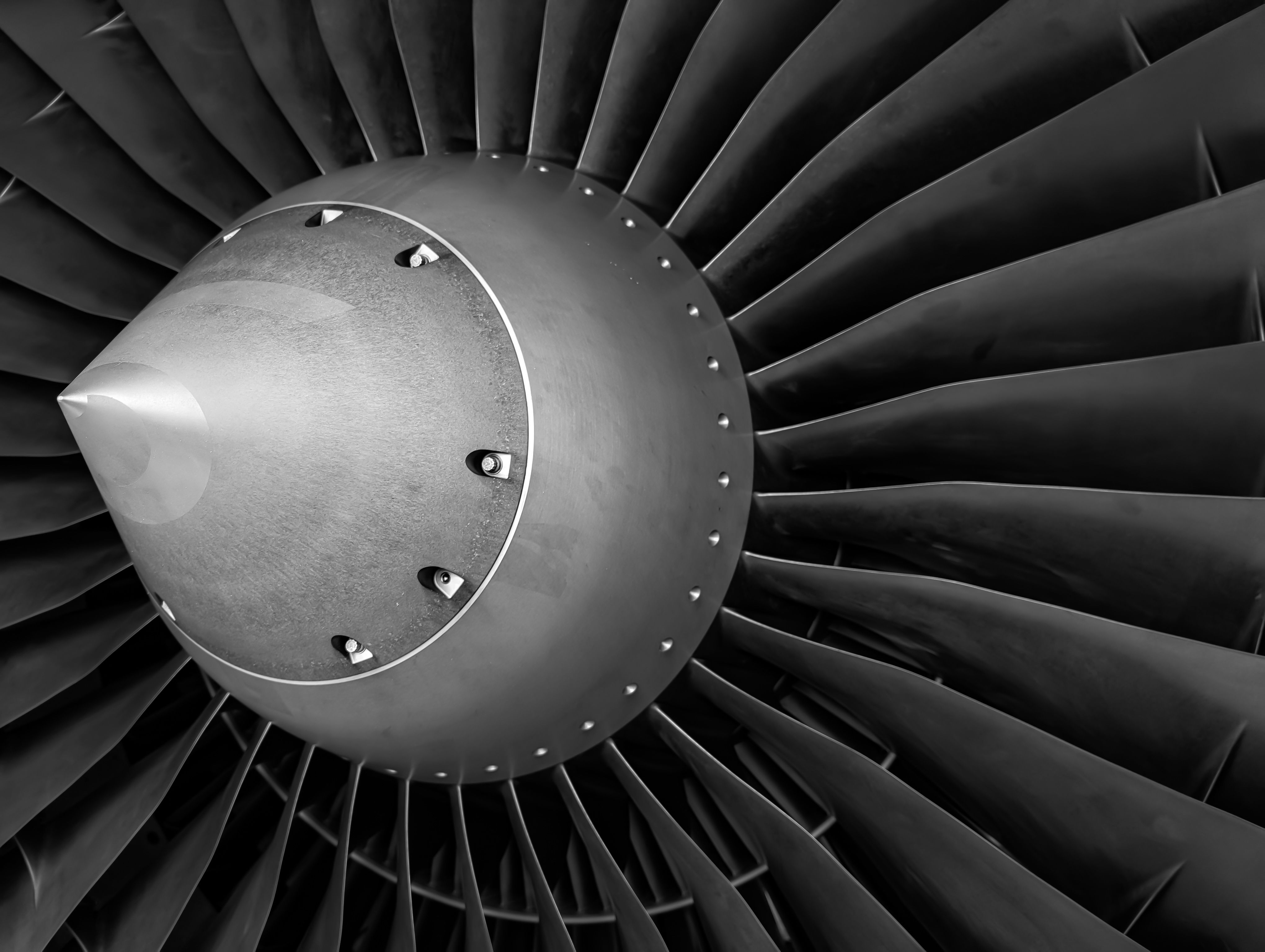 Fan blades and spinner of a high-bypass turbofan, close up